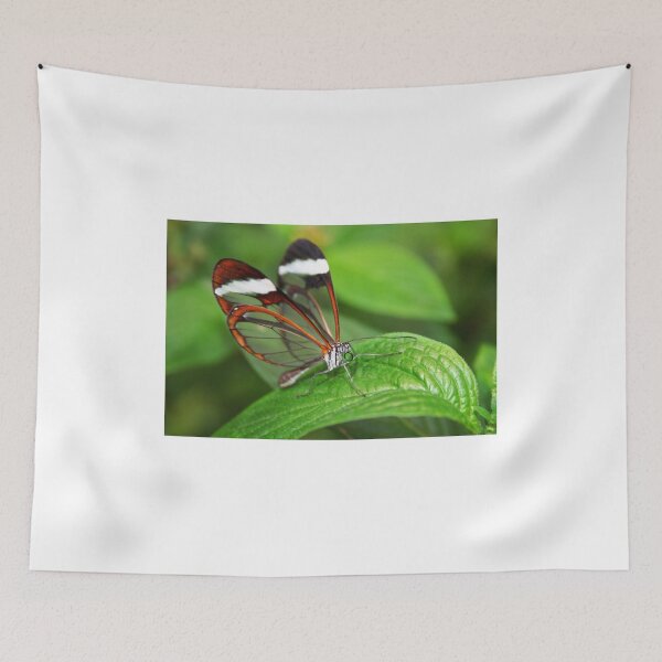 Item preview, Greta Oto with Wings of Glass designed and sold by Jo Nijenhuis.
