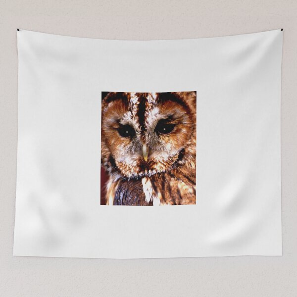 Artikelvorschau, The Owl entworfen und verkauft von jwwallace.
