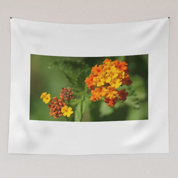 Item preview, WildFlowers designed and sold by Scott Dovey.