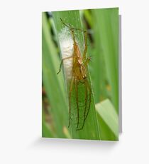 Creepy Crawly Greeting Card