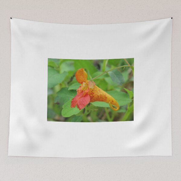 Item preview, Orange Jewelweed designed and sold by Ron Russell.