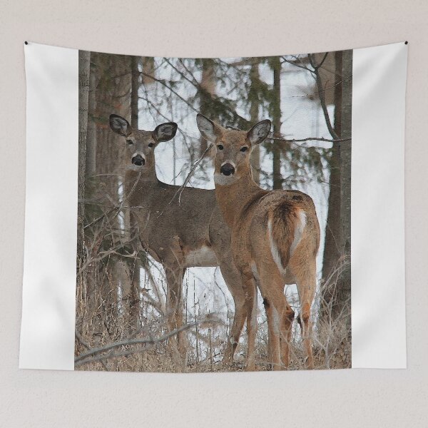 Item preview, White-Tailed Deer designed and sold by JMcCombie.