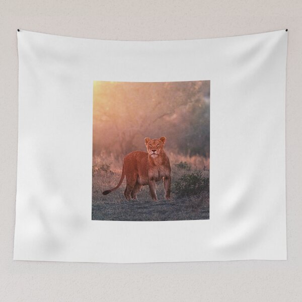 Item preview, Searching For Cubs designed and sold by Michael Moss Photography.