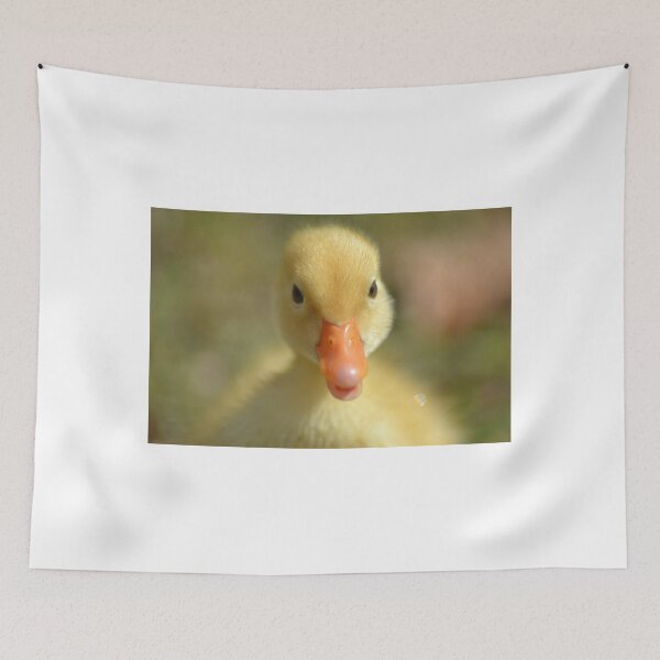 Item preview, Fluffy Duck designed and sold by TheaShutterbug.