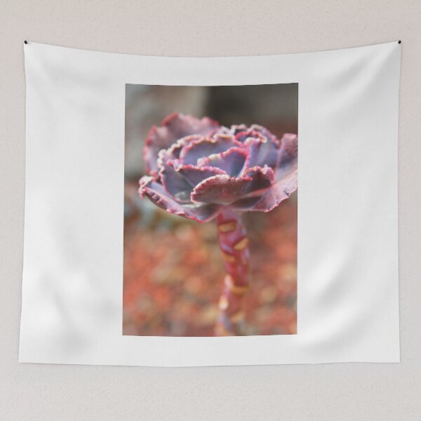 Item preview, Succulent designed and sold by Paula Bielnicka.