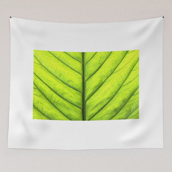 Item preview, Spring Leaf designed and sold by Paula Bielnicka.