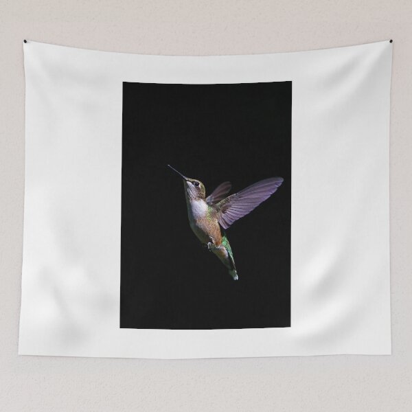 Item preview, Free - Ruby throated Hummingbird designed and sold by James Cumming.