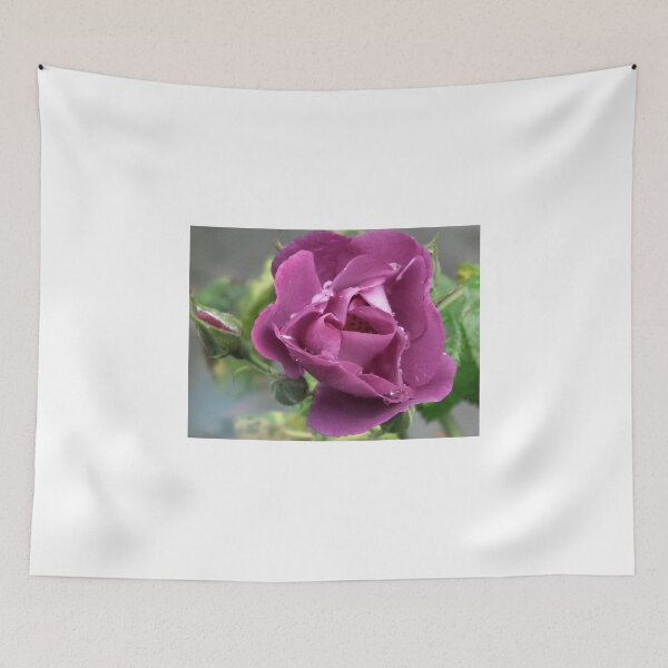Item preview, Soft Pink Roses designed and sold by lynn carter.