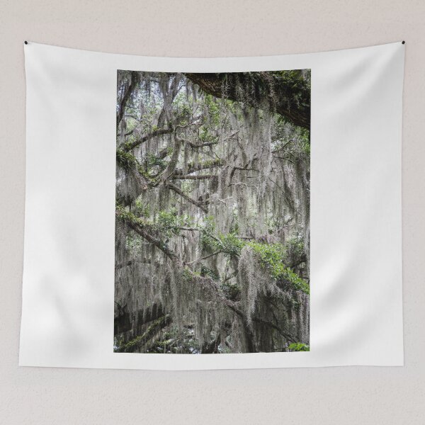 Item preview, Spanish Moss designed and sold by eegibson.