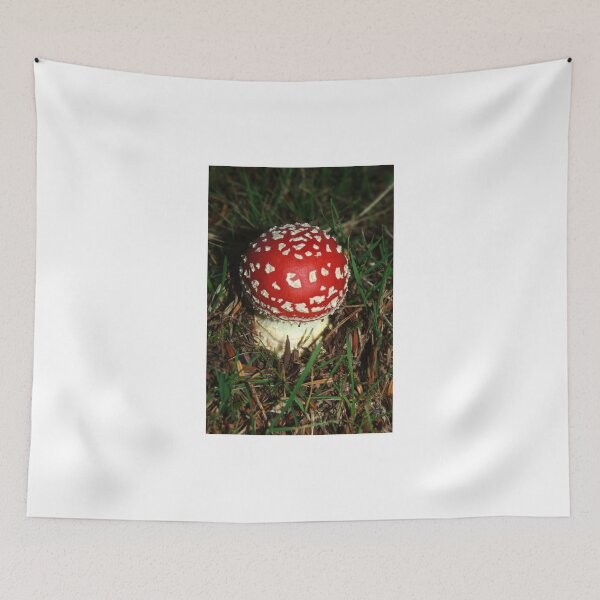 Item preview, A fairytale in Tassie designed and sold by imaginethis.