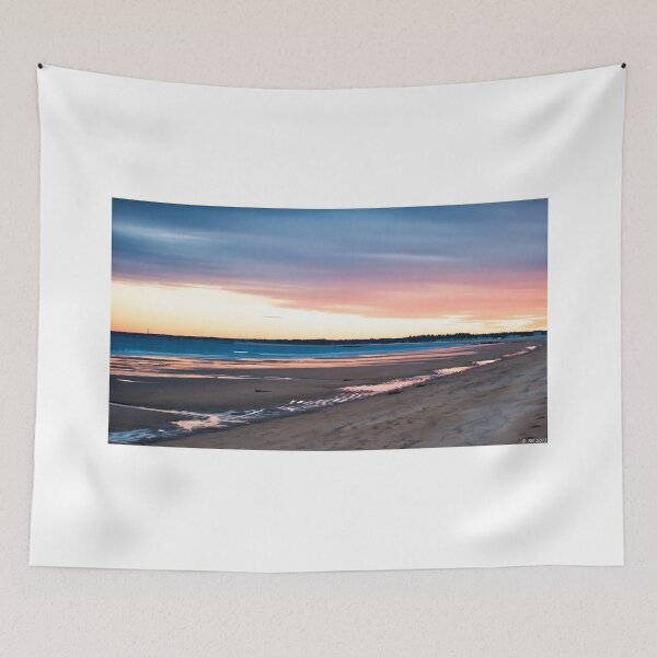 Item preview, Winter Beach designed and sold by Richard Bean.