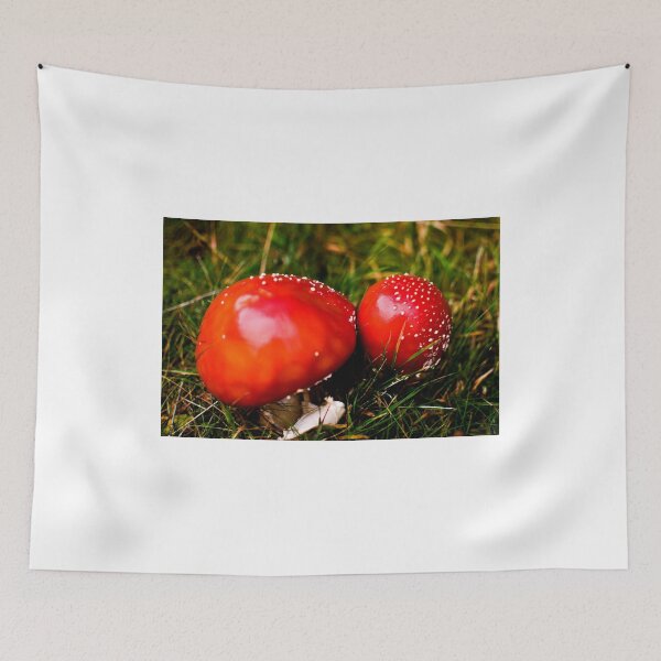 Item preview, Amanita muscaria - "Brothers" designed and sold by MarekM.