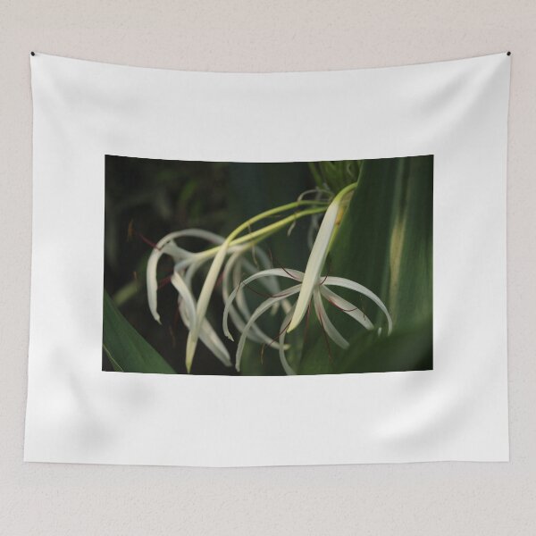 Item preview, In the Tropics designed and sold by karina5.
