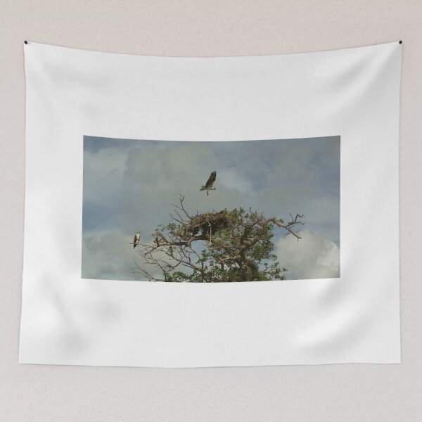 Item preview, Osprey Nest designed and sold by Scott Dovey.