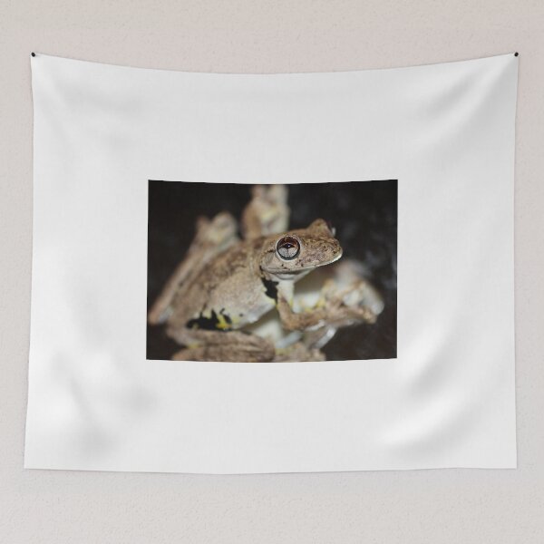 Item preview, Roth's Tree Frog - Litoria rothii designed and sold by cathywillett.