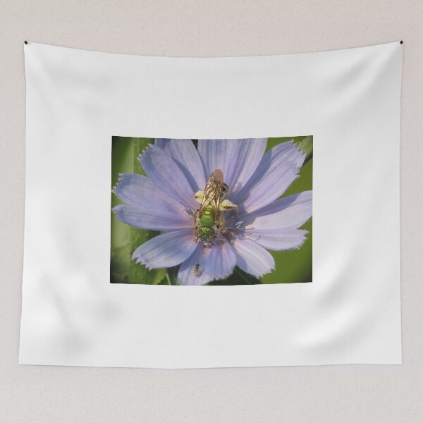Item preview, Green Metalic Bee and A Wee Friend on Chickory Flower designed and sold by Ron Russell.
