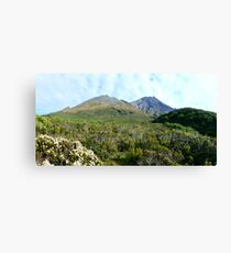 Mount Taranaki/Egmont Canvas Print