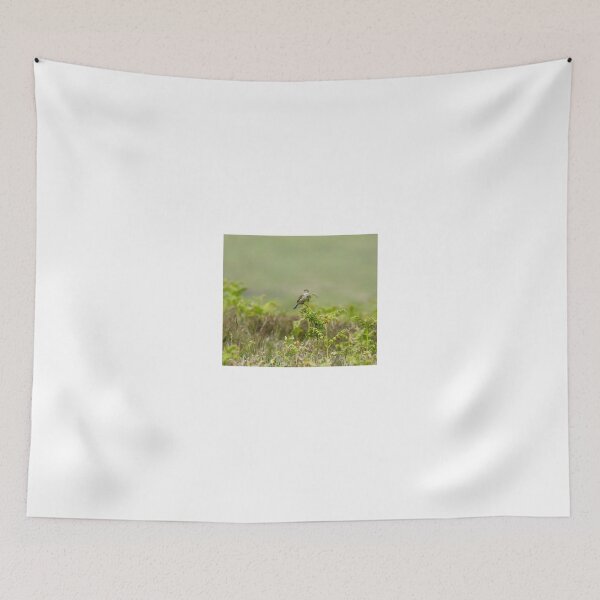 Item preview, Common Skylark on Bracken designed and sold by Sue Robinson.