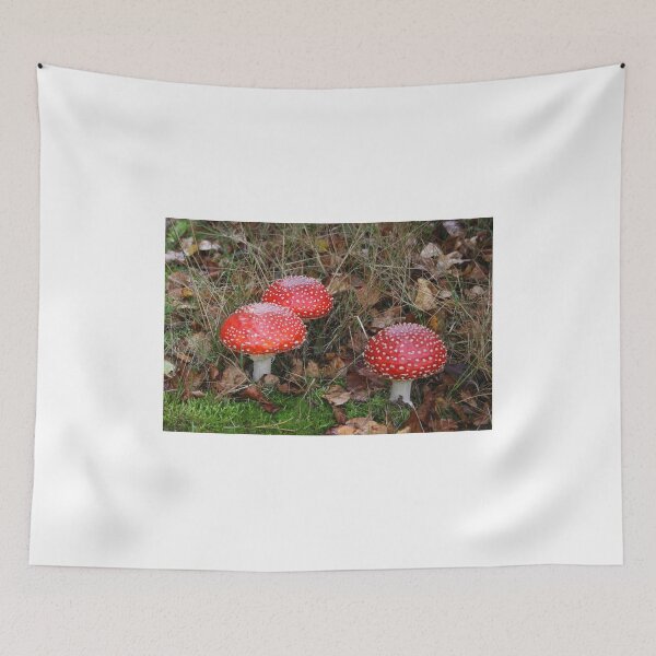 Item preview, A Closer Look to Three Amanita muscaria designed and sold by Jo Nijenhuis.