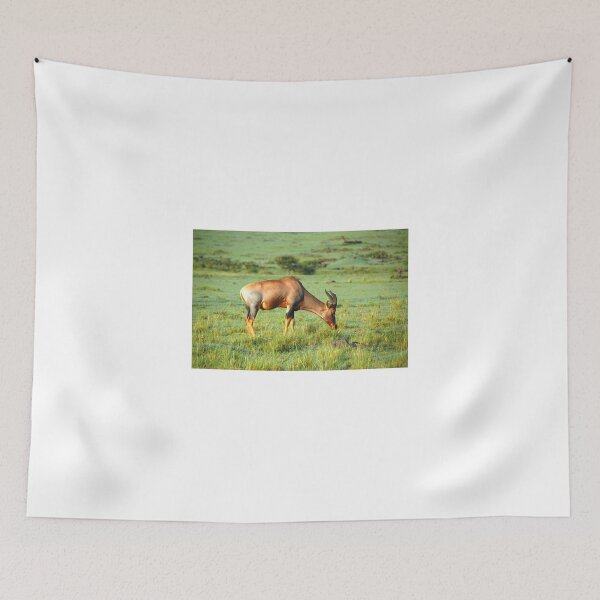 Item preview, Topi - Antelope designed and sold by Charuhas  Images.