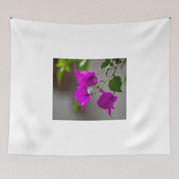 Item preview, Bougainvillea in rain designed and sold by Sue Robinson.