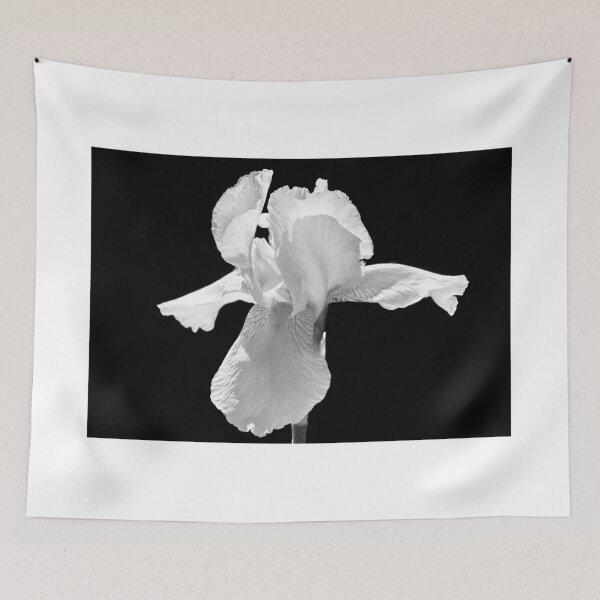 Item preview, Iris in B&W designed and sold by AnnDixon.