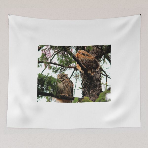 Item preview, Great Horned Owl & Baby designed and sold by Larry Trupp.