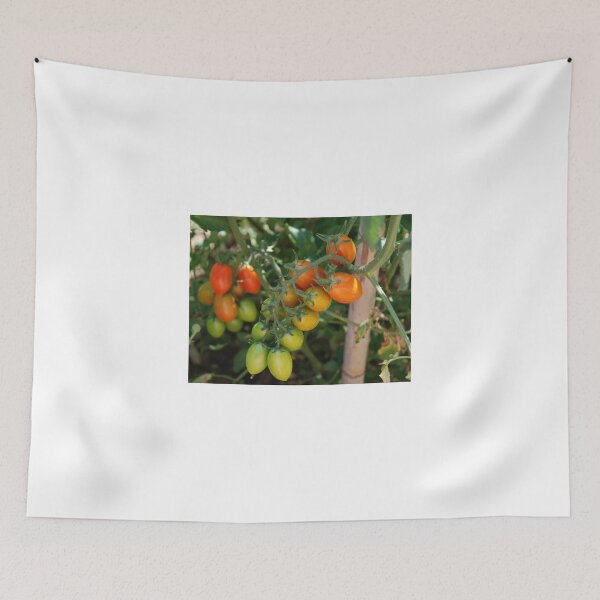 Item preview, Date Tomatoes Ripening on Vine designed and sold by jojobob.