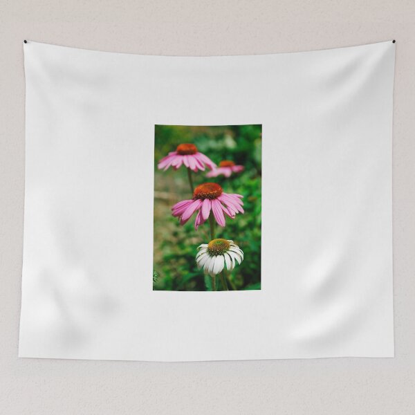 Item preview, Echinacea Purpurea  designed and sold by jojobob.