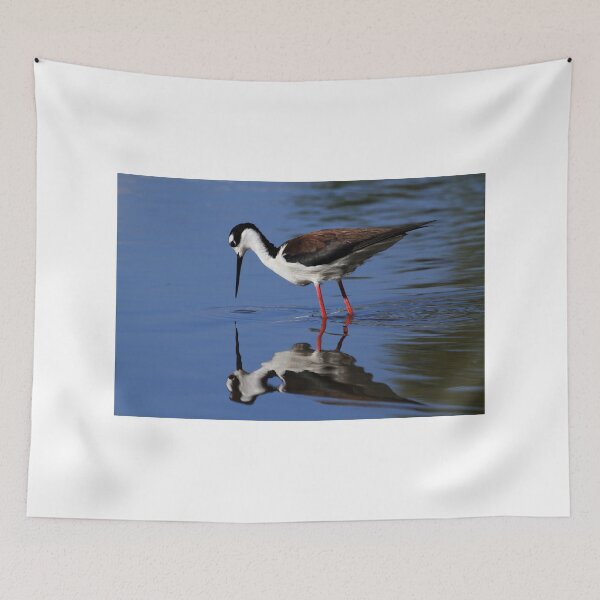 Aperçu de l'œuvre Black Necked Stilt Reflecting créée et vendue par PsychoAlien.com.