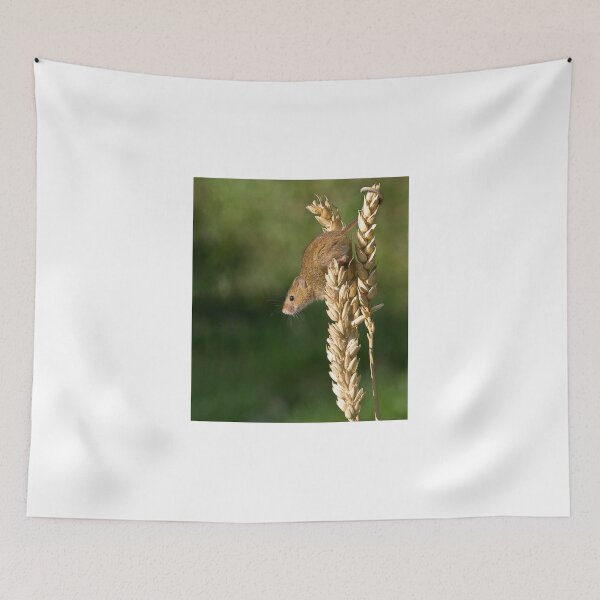 Item preview, Harvest mouse on an ear of wheat designed and sold by GrahamCSmith.