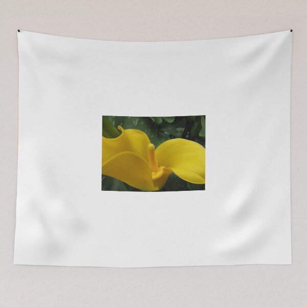 Item preview, Golden Calla Lily - Macro Untouched designed and sold by BlueMoonRose.