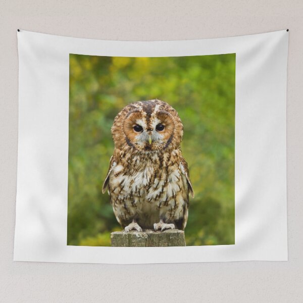 Item preview, Tawny Owl full length designed and sold by Sue Robinson.