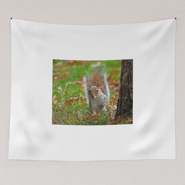 Item preview, Grey Squirrel Peeping designed and sold by Sue Robinson.