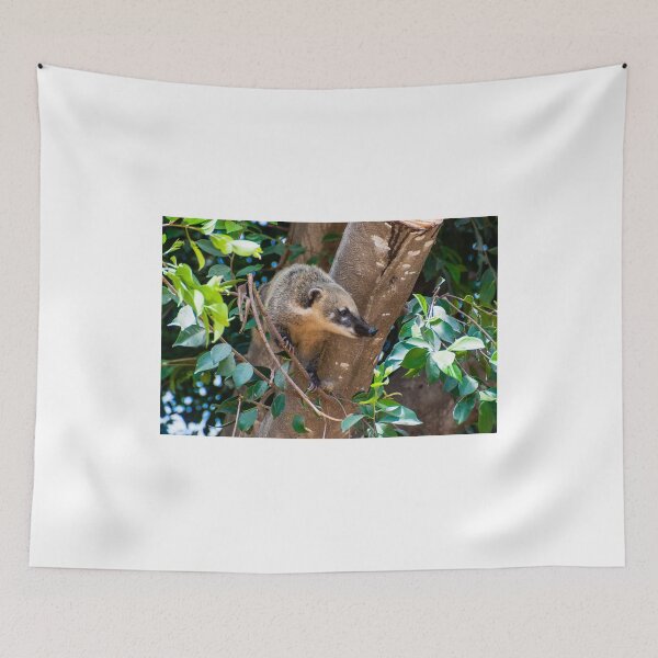 Item preview, Coati on the tree designed and sold by Yevgeni Kacnelson.