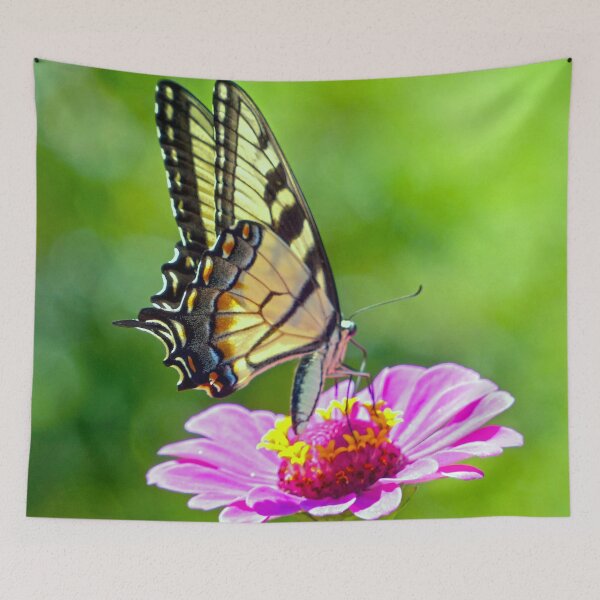 Item preview, Tiger Swallowtail Butterfly designed and sold by Frankie Cat Photography.