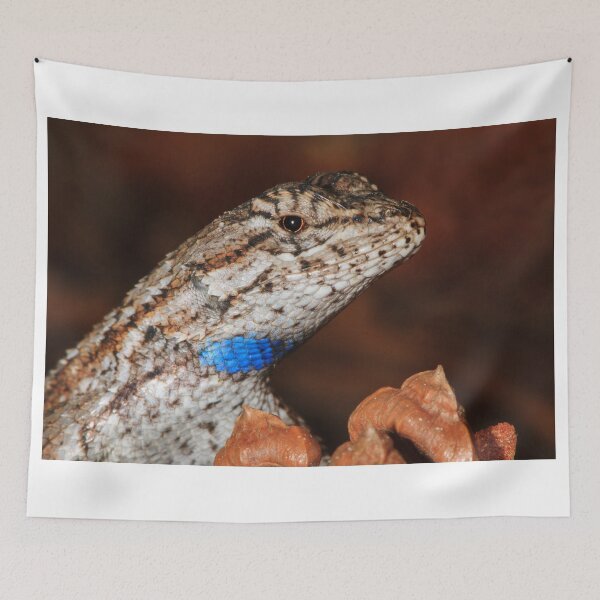 Aperçu de l'œuvre Fence Lizard créée et vendue par WorldDesign.
