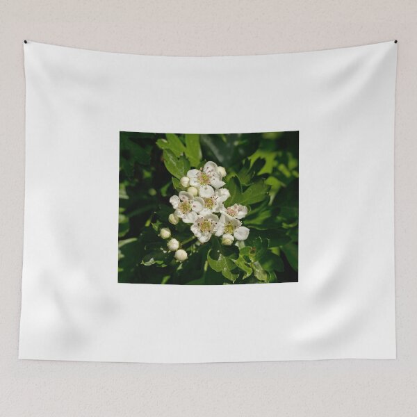 Item preview, White Blossom designed and sold by Sue Robinson.