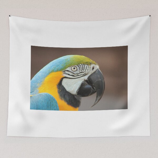 Item preview, Blue and Gold macaw portrait designed and sold by macawmad.