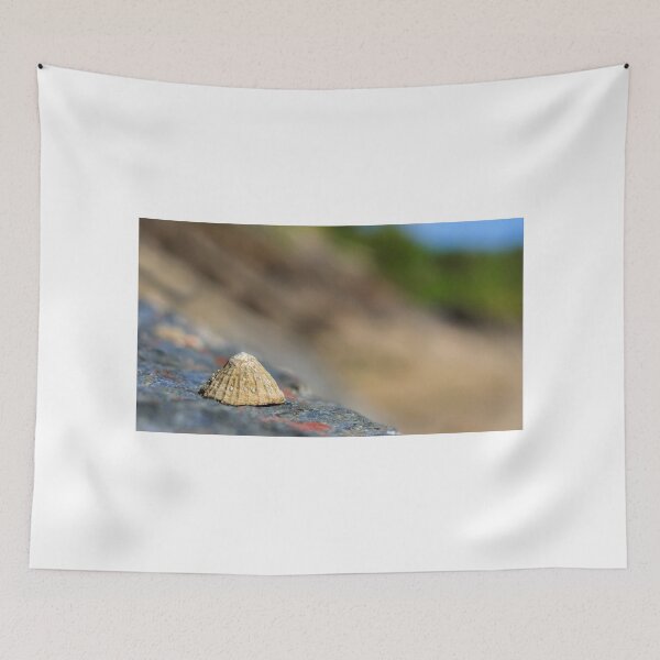 Item preview, Little Limpet on the Shore designed and sold by Lucy Davey.