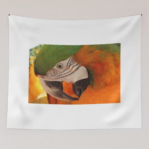 Item preview, Harlequin macaw having a preen designed and sold by macawmad.