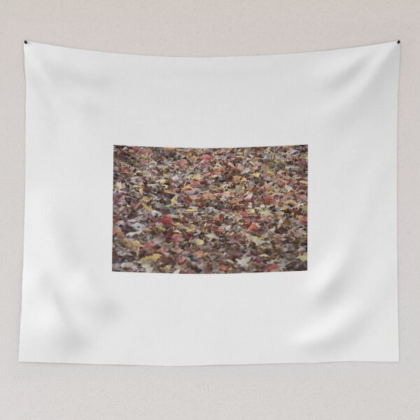 Item preview, Fallen Leaves,Mount Lofty Botanical Gardens,S.A. designed and sold by elphonline.