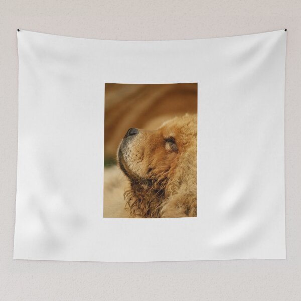 Item preview, Ms Tea - sunbathing designed and sold by Tamas KLAUSZ.
