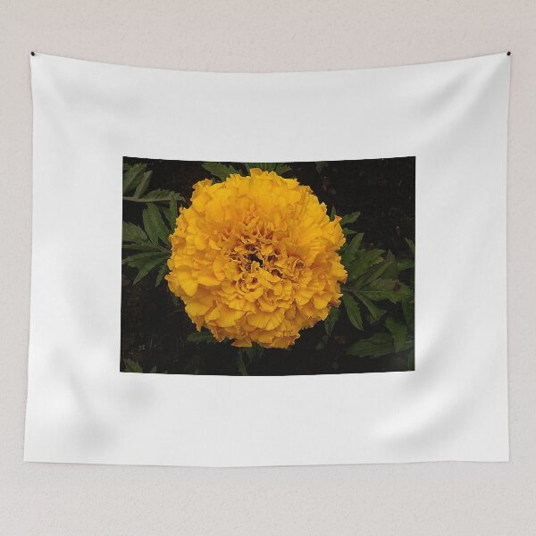 Aperçu de l'œuvre Yellow Marigold créée et vendue par Forfarlass.