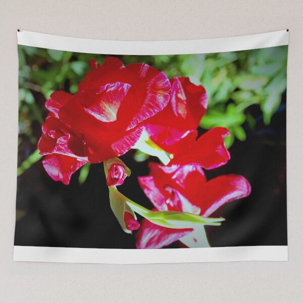 Item preview, Porch lilies designed and sold by B. Randi Bailey.