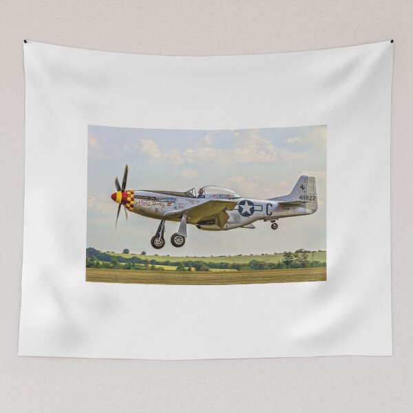 Item preview, P-51D Mustang 44-74427 F-AZSB "Nooky Booky IV" designed and sold by Colin Smedley.