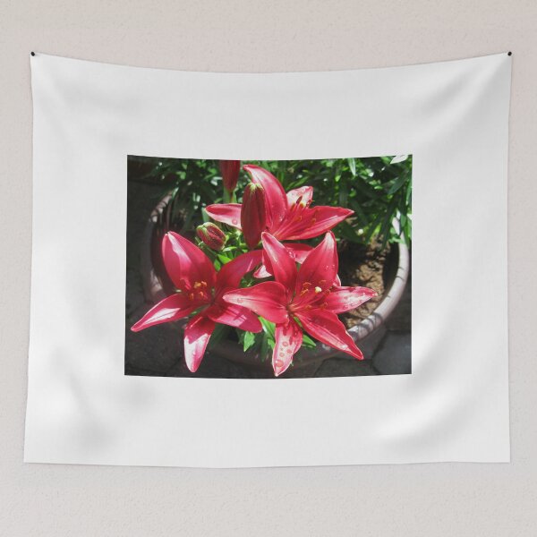 Item preview, Reddish-Pink Lilies and Buds with Raindrops designed and sold by MidnightMelody.