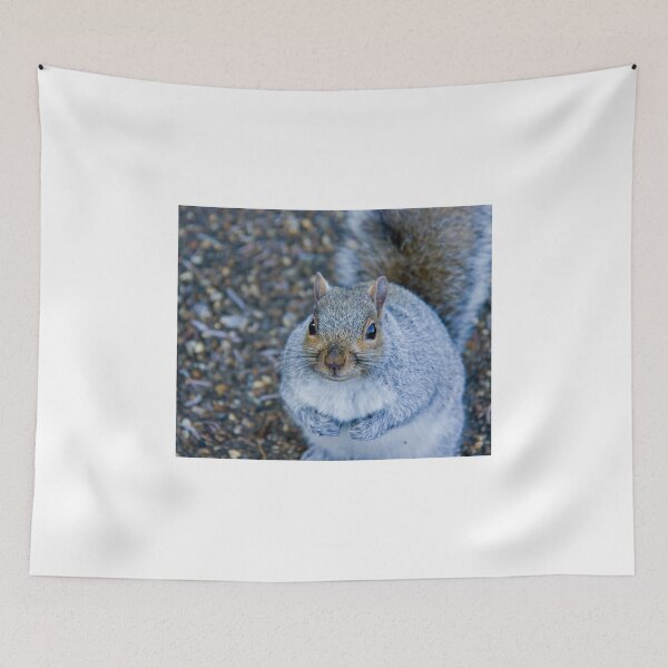 Item preview, Grey Squirrel designed and sold by Sue Robinson.