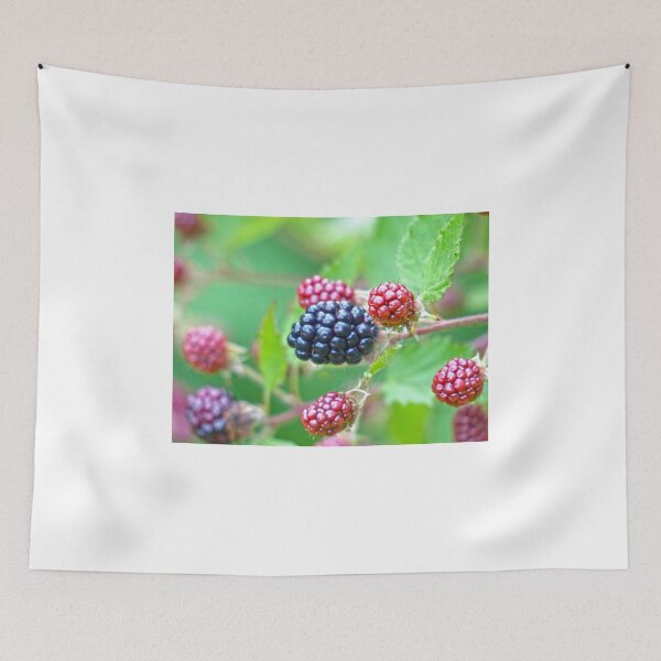 Item preview, Ripe!! designed and sold by Frankie Cat Photography.