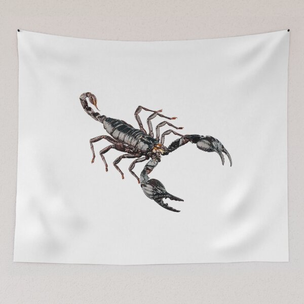 Item preview, Black scorpion species palamnaeus fulvipes designed and sold by paulrommer.